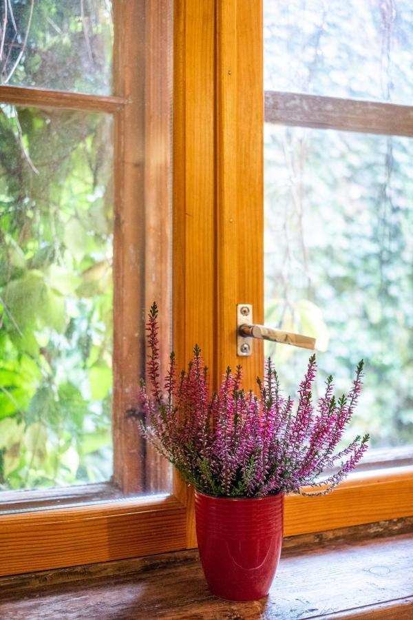 Dream Stay - Bright 2-Bedroom 2-Floor Old Town Apartment Tallinn Buitenkant foto